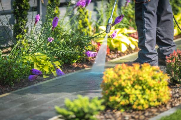 Best Sidewalk and Walkway Cleaning  in Pinewood, FL