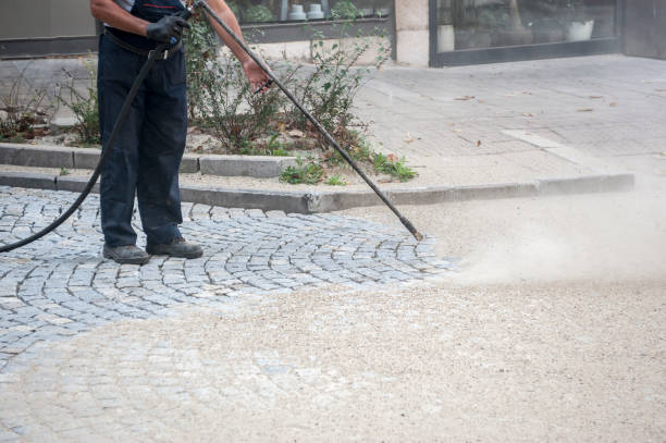 Best Pre-Holiday Cleaning  in Pinewood, FL