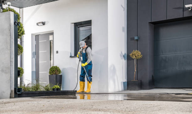 Best Solar Panel Cleaning  in Pinewood, FL